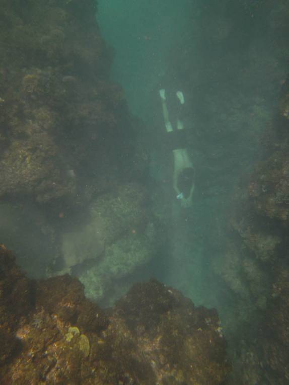 Explorando o fundo de um canyon marinho em em Cayo Zapatilla, uma das ilhas de Bocas del Toro, no norte do Panamá